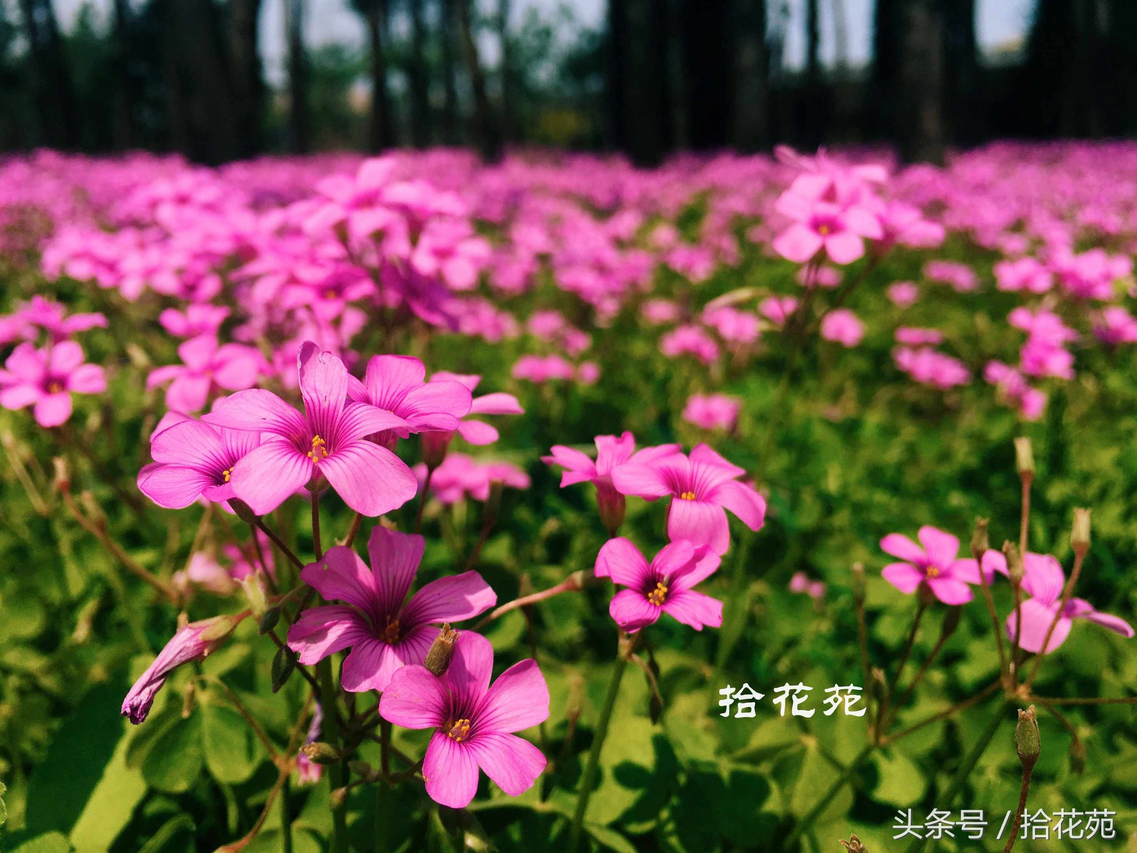 福州五一海边旅游推荐,福州五一海边游