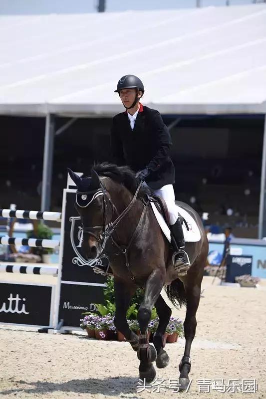 环球马术冠军中国骑手,上海环球冠军马术赛