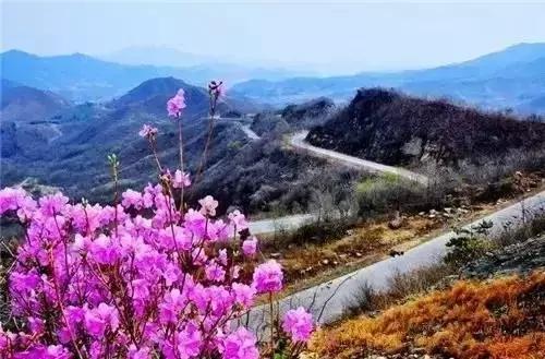 莫负春光辽宁赏花踏青攻略来了,辽宁最美十大花海