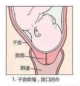 生娃打开宫口的流程,孕妇宫口开1指到生需要多久