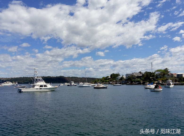 鎮夊凹鐜懓婀惧瘜浜哄尯,鎮夊凹灞堣嚕姘忔咕