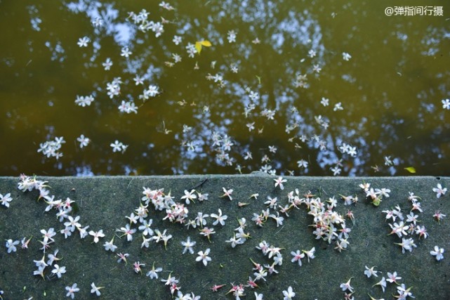 西樵山下黄飞鸿的故乡,黄飞鸿故里佛山哪里