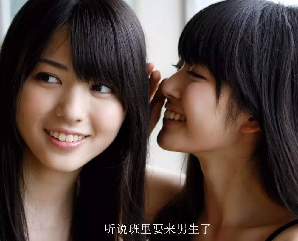 荷兰猪优势与劣势有哪些,荷兰猪的能力有多强