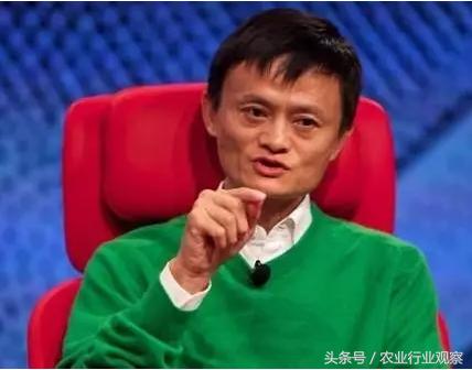 农民转型做电商怎么样,农村电商要做哪些工作呢