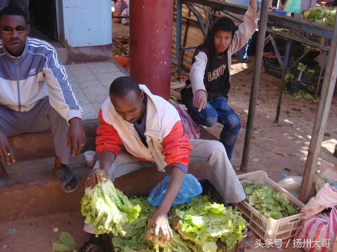行走在纳米比亚沙漠感悟,撒哈拉沙漠旅游真实感受