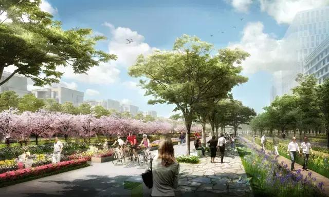 上海八万人体育场坐满人,上海八万人体育场改造前图片