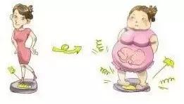 怀孕肉都长在哪里了,怀孕了一般长多少斤