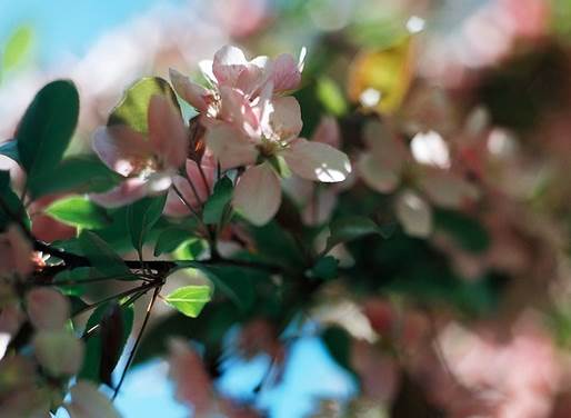 正能量的图片配文字励志,哲理人生经典语录文字图片