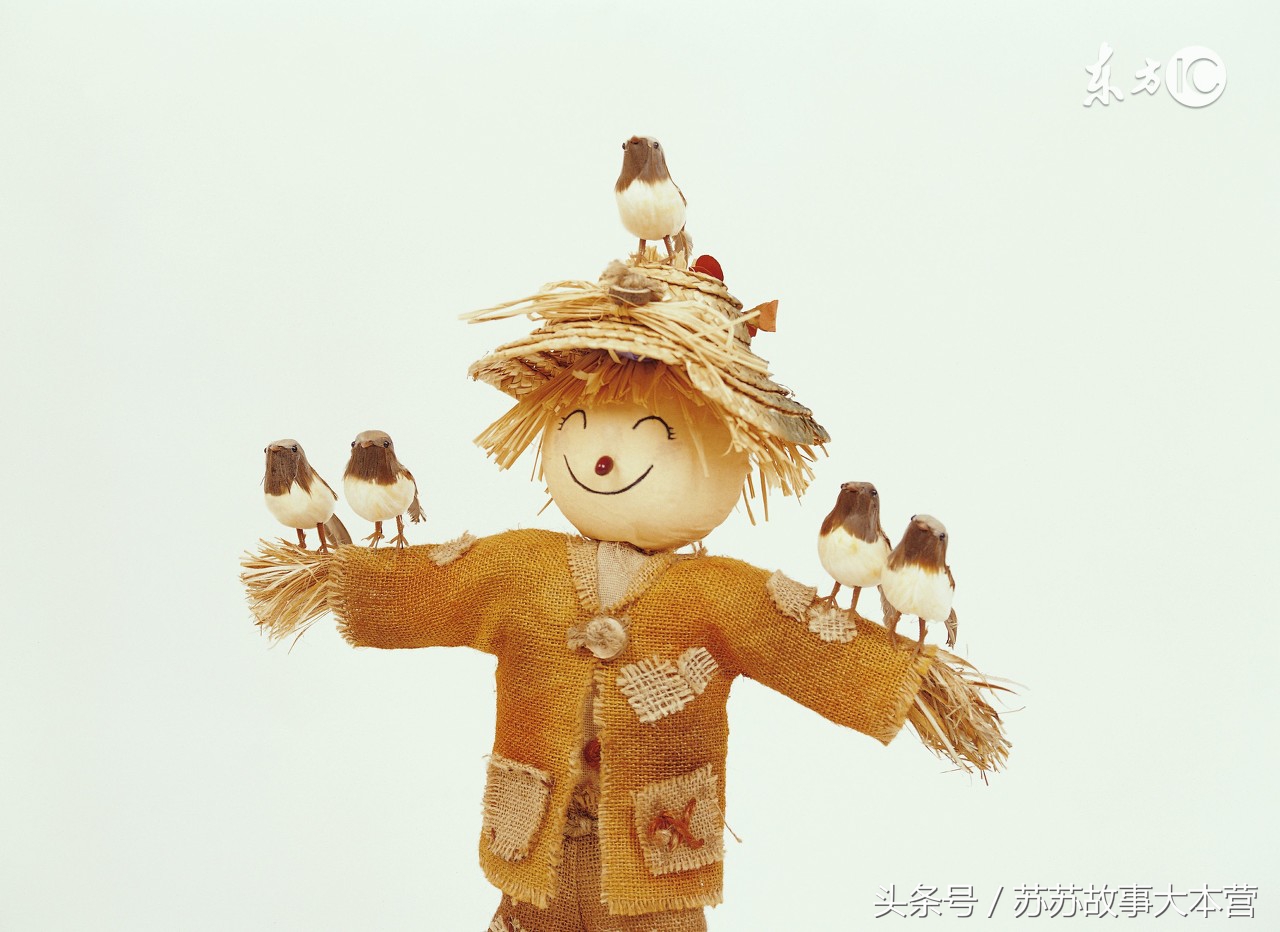 故事:村民犯了口舌菩萨,要米来解灾,头上被麻雀拉屎,遇上咋办