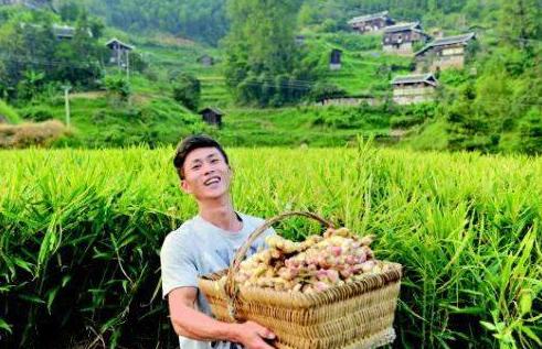 互联网时代如何在农村创业,在农村想网上创业不知干什么