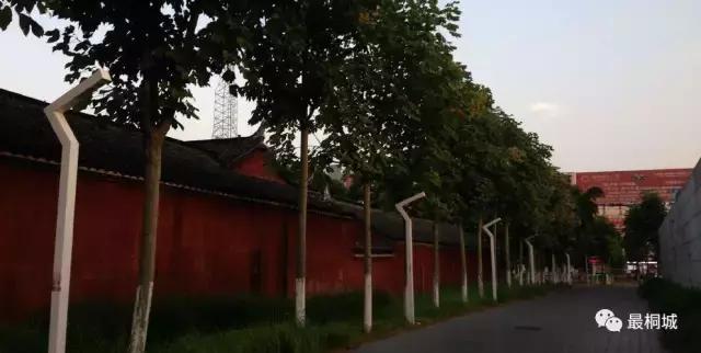 桐城市为什么这么发达,弹丸小城