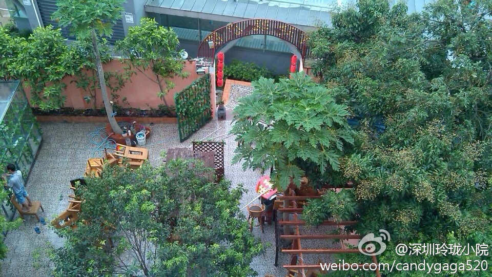 深圳岳阳商会小龙虾,岳阳商会餐厅推荐