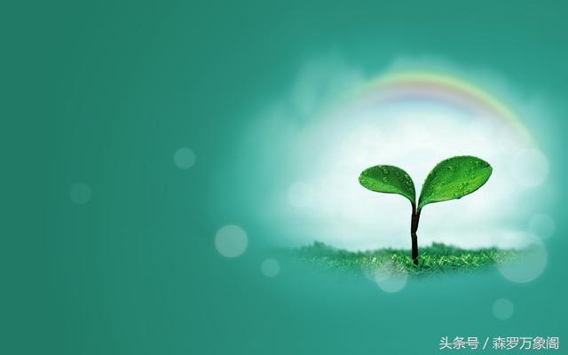 每天心语：爱你三年不回头不愿看你眼泪流