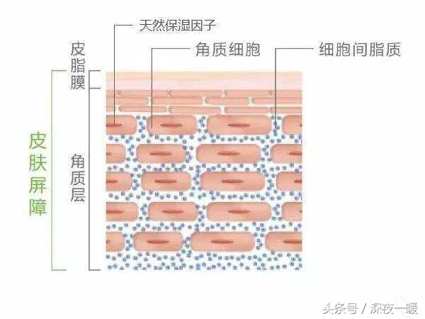 男生干皮如何保湿补水,男生补水保湿水乳推荐