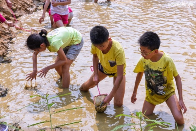 西樵山下黄飞鸿的故乡,黄飞鸿故里佛山哪里