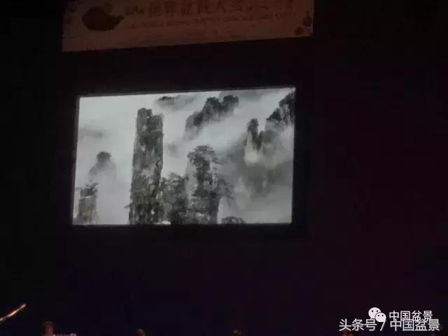 现在什么盆景最有前景,盆景创业未来前景如何