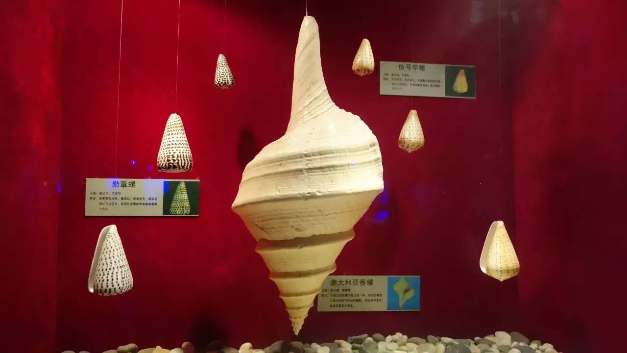 大连东北路有什么好玩的,大连哪里的海岸好玩