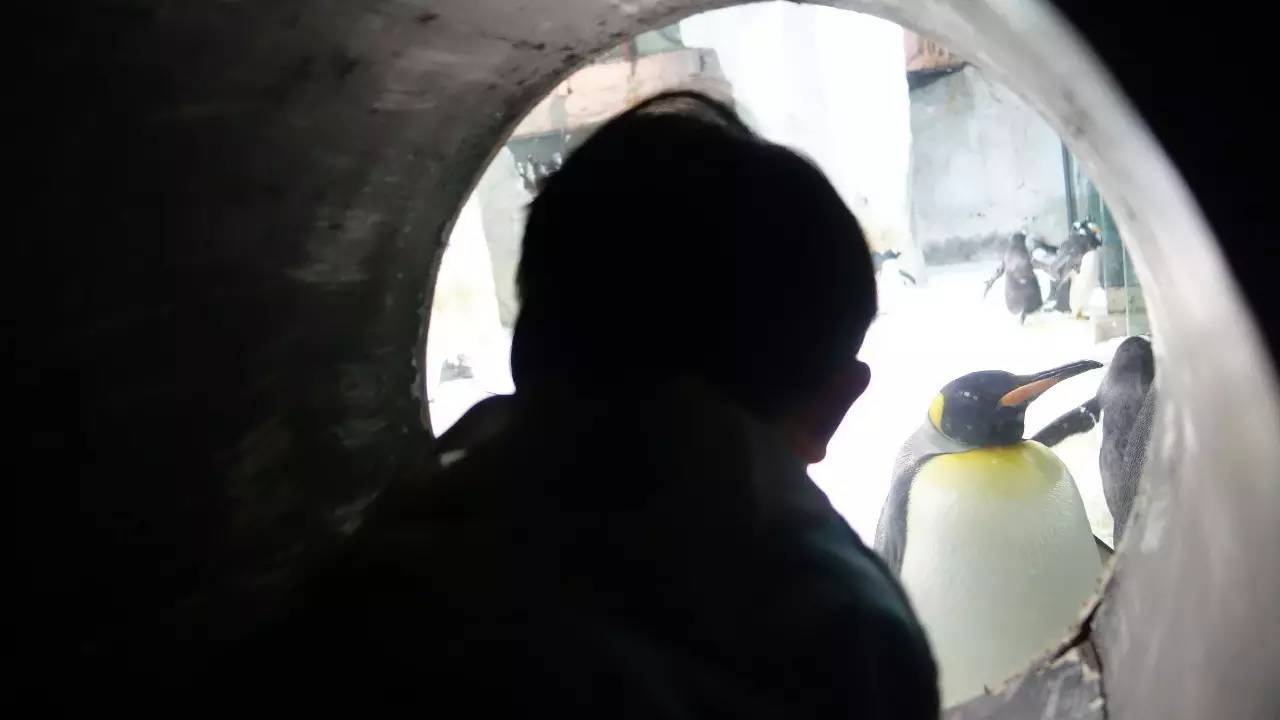 大连东北路有什么好玩的,大连哪里的海岸好玩