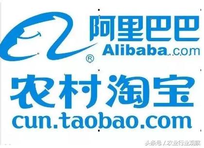 农民转型做电商怎么样,农村电商要做哪些工作呢