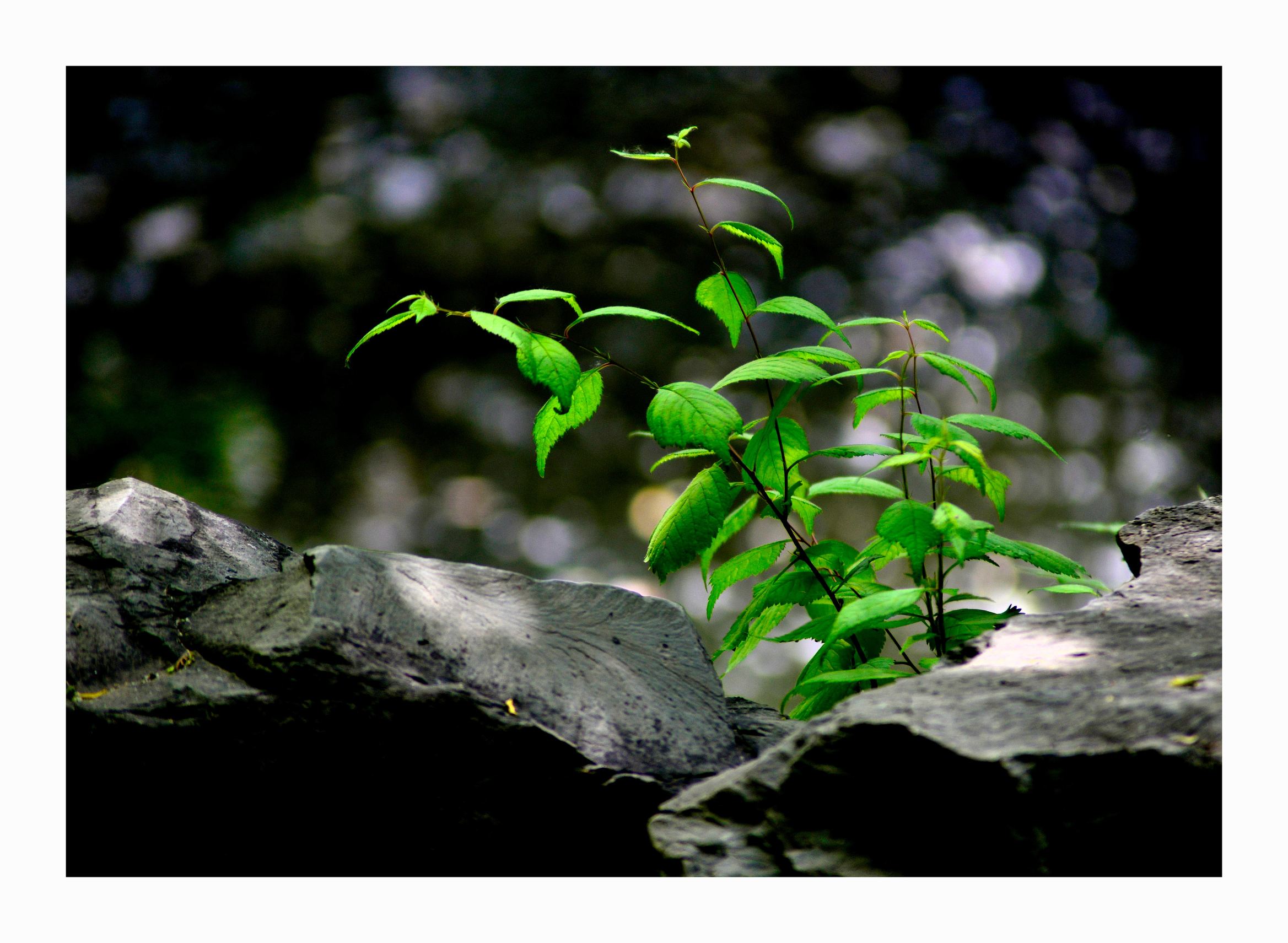 北京什刹海最具人文气息的地方,北京什刹海有啥好玩的地方