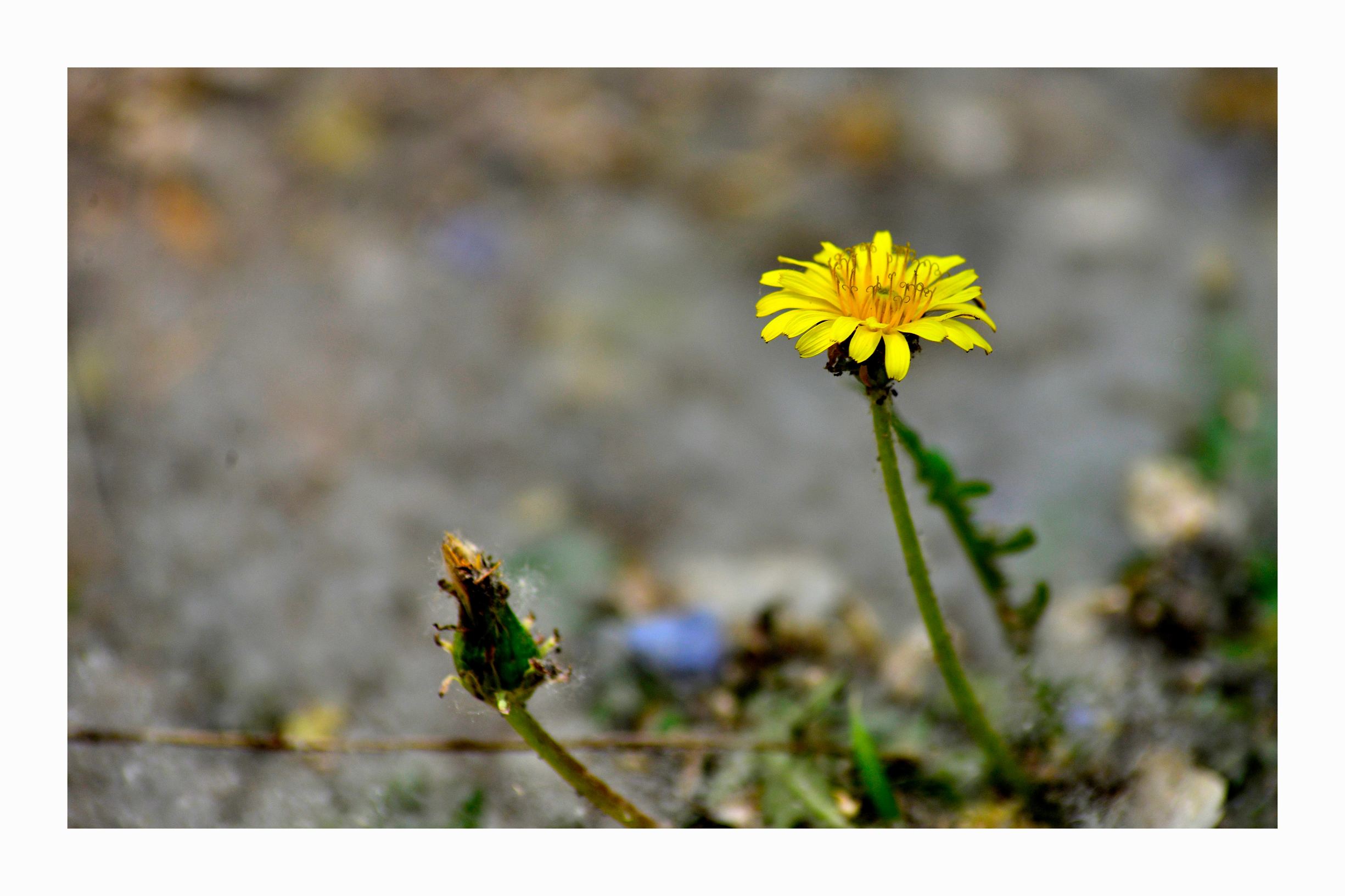 北京什刹海最具人文气息的地方,北京什刹海有啥好玩的地方