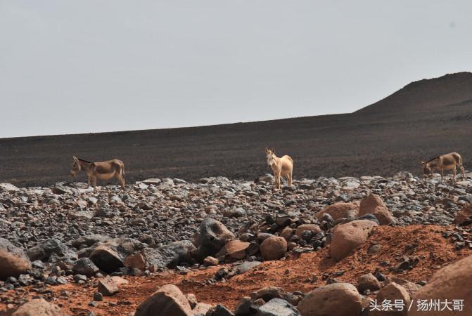 行走在纳米比亚沙漠感悟,撒哈拉沙漠旅游真实感受