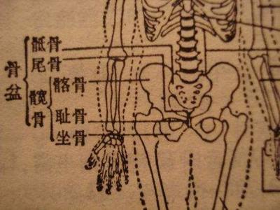 传拳不传胯的正确方法,太极拳不传口诀