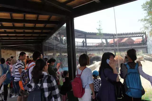 厦门灵玲国际马戏城大不大,五一厦门灵玲国际马戏