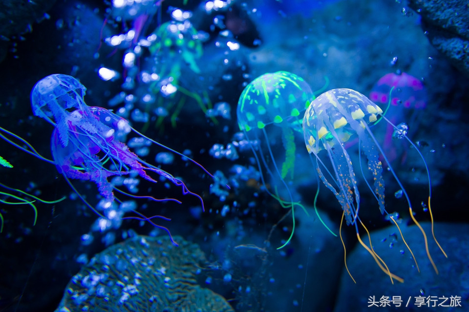 澳大利亚黄金海岸分为哪几个区,澳大利亚黄金海岸华纳兄弟影城