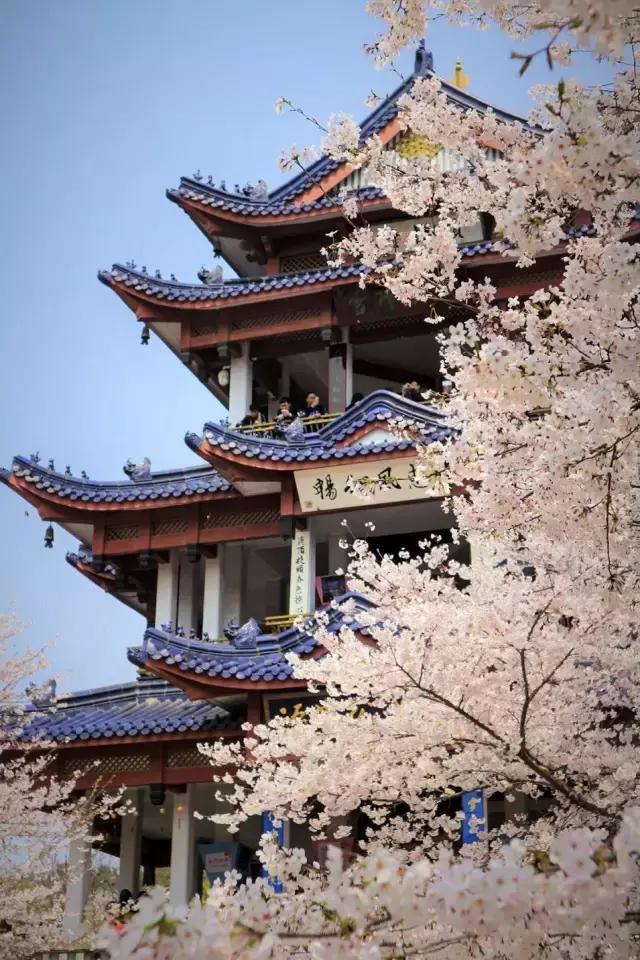 摄友作品点评,4月拍照