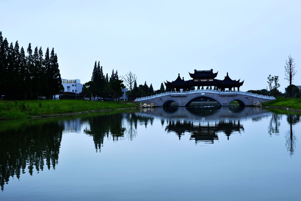 奉化水蜜桃蒋氏故里包装盒,奉化水蜜桃和无锡水蜜桃哪个最早