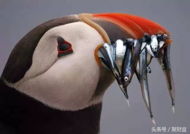 你不了解的a股短线投机的思维,a股龙虎榜