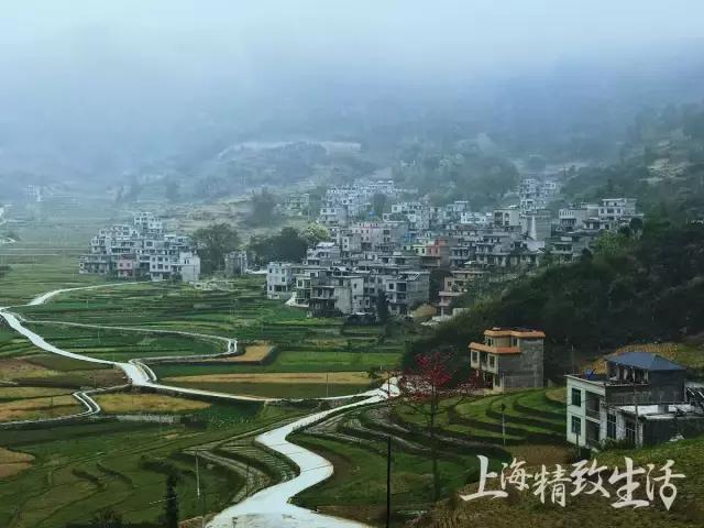 为这篇矿泉水测评,我们误了24小时的飞机,20瓶水,拿去不谢