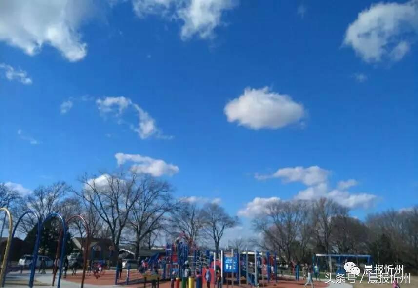 创文明城市特别策划：“我眼中最美春天”随后拍作品7