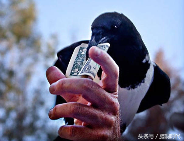 来！给鸦哥上支烟！