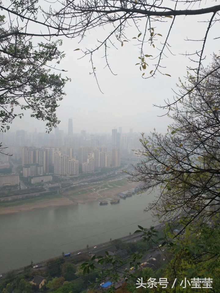 重庆龙缸景区偶遇外国人,重庆望远鹅岭公园视频