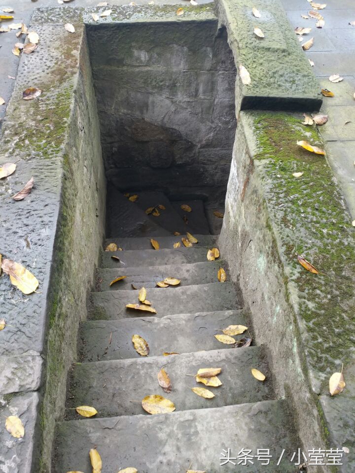 重庆龙缸景区偶遇外国人,重庆望远鹅岭公园视频