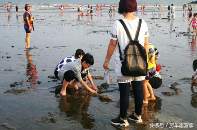 浪琴湾露营旅游攻略,浪琴湾露营玩法