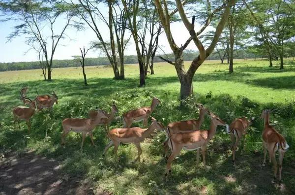 无需签证可以去旅游的国家,值得去的免签小众国家