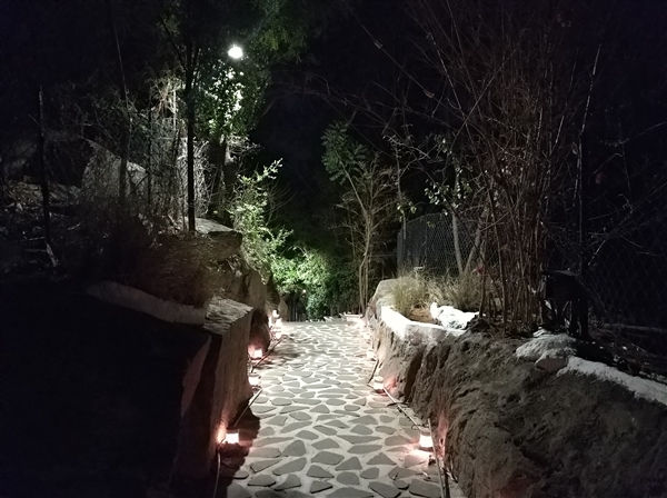 老外观看小米汽车之后的感受,老外赞叹中国美景反应视频