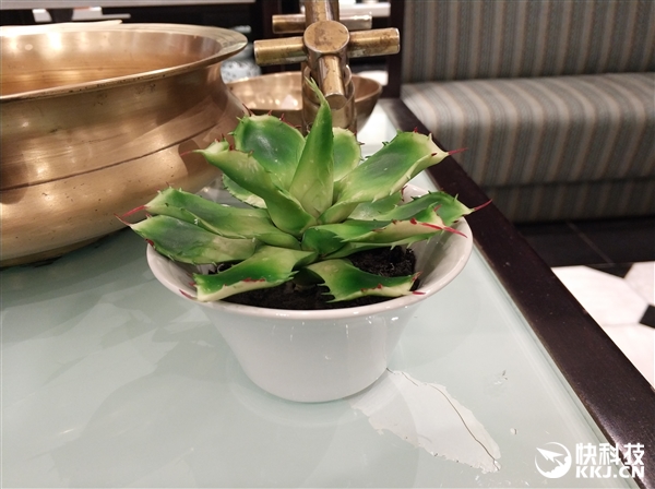 老外观看小米汽车之后的感受,老外赞叹中国美景反应视频