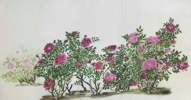 李玉梅梅花奖,作家李玉梅图片