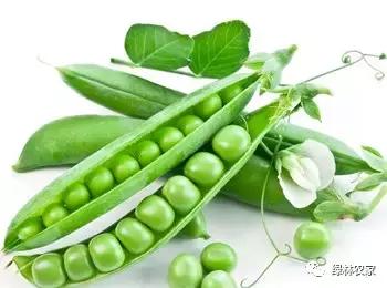 立夏火热的季节来了,立夏夏天猝不及防就来了