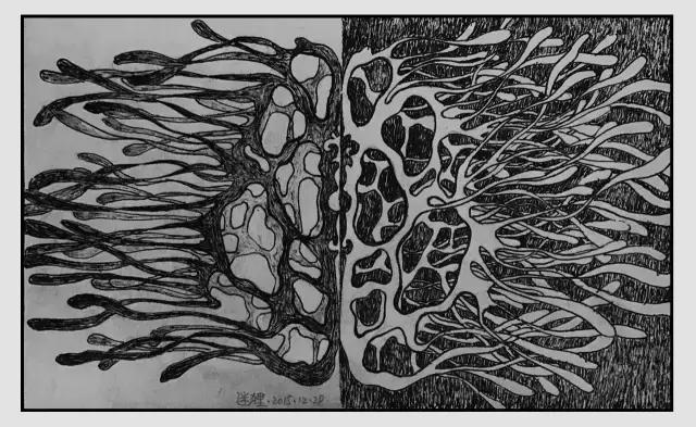 插画师迷狸：路过，停留