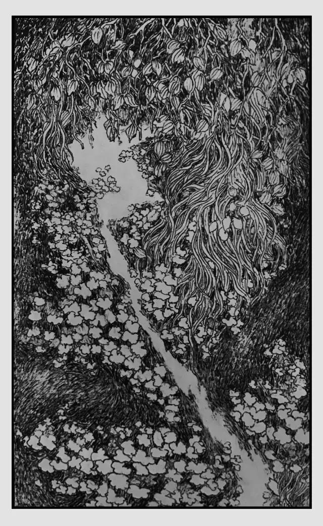 插画师迷狸：路过，停留