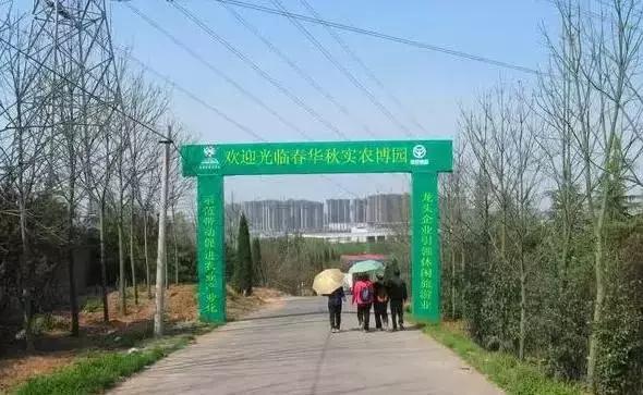 洛阳新安县樱桃采摘园,洛阳樱桃沟摘樱桃