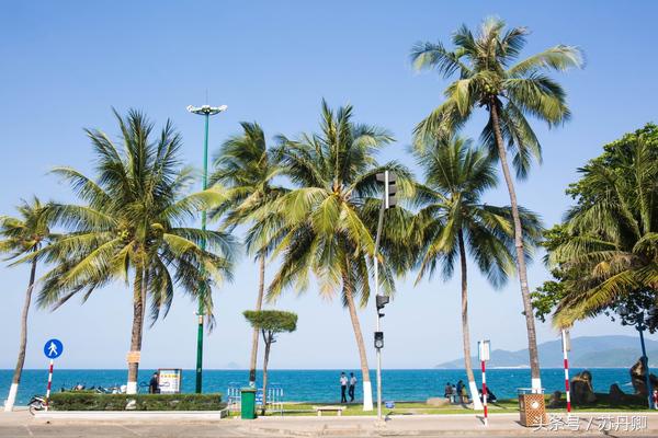 马尔代夫和芽庄哪个好玩,一个人的马尔代夫