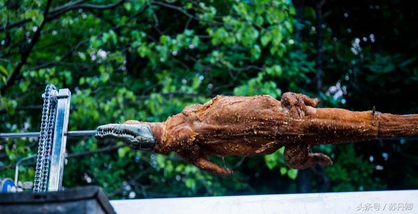 马尔代夫和芽庄哪个好玩,一个人的马尔代夫