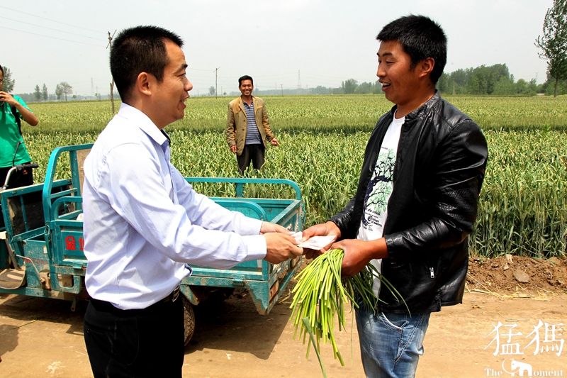 山东300吨大蒜支援,大蒜20万吨订单