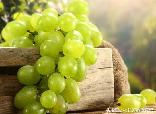 坐月子能吃的蔬菜水果大全,坐月子期间的产妇能吃什么水果